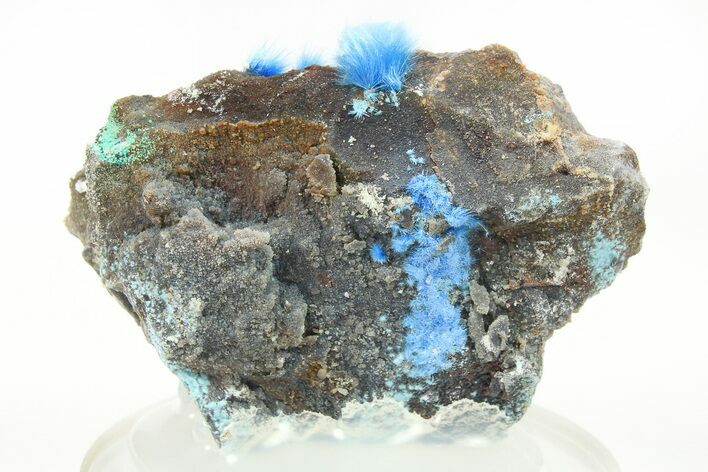 Vibrant Blue Cyanotrichite Crystal Aggregates - China #274141